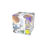 Новогодняя ночь Салют купить в Санкт-Петербурге | sankt-peterburg.salutsklad.ru