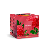 Пионы Салют купить в Санкт-Петербурге | sankt-peterburg.salutsklad.ru