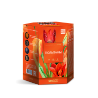 Тюльпаны Салют купить в Санкт-Петербурге | sankt-peterburg.salutsklad.ru