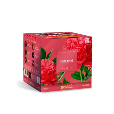 Пионы Салют купить в Санкт-Петербурге | sankt-peterburg.salutsklad.ru