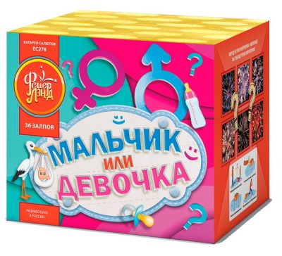 Мальчик или девочка М Фейерверк купить в Санкт-Петербурге | sankt-peterburg.salutsklad.ru